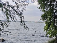 -长广溪湿地公园