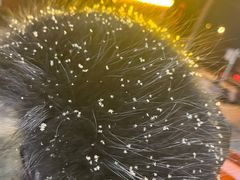 -京朋串屋·烧烤(望京西路总店)