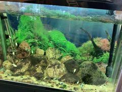 水产区-李先生牛肉面大王(华联商厦店)