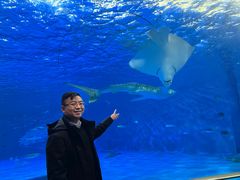 -鹿儿岛水族馆