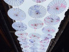 -都江堰景区