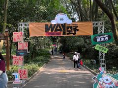 -南宁良凤江国家森林公园