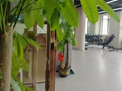 -山之尖健身