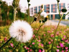 -福州大学(旗山校区)