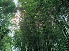-包公祠
