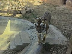 -昆明动物园