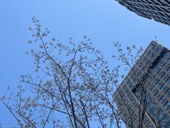 -陆家嘴世纪金融广场