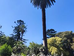 -墨尔本皇家植物园