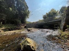 -广州市石门国家森林公园