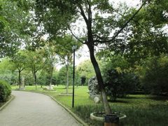 -汉水公园