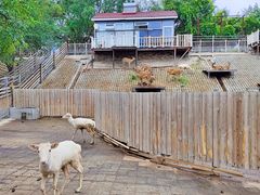 -北京鹿世界主题园