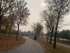 -官港森林公园
