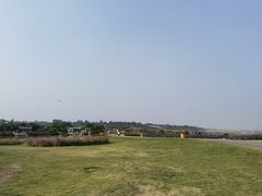 -空港花田景区