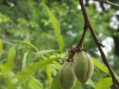 -上海市龙华烈士陵园