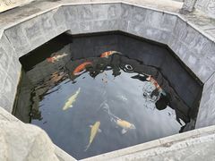 -西安市广仁寺