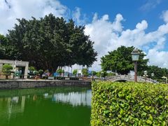 -石炮台公园