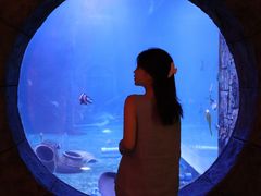 -苏州海洋馆