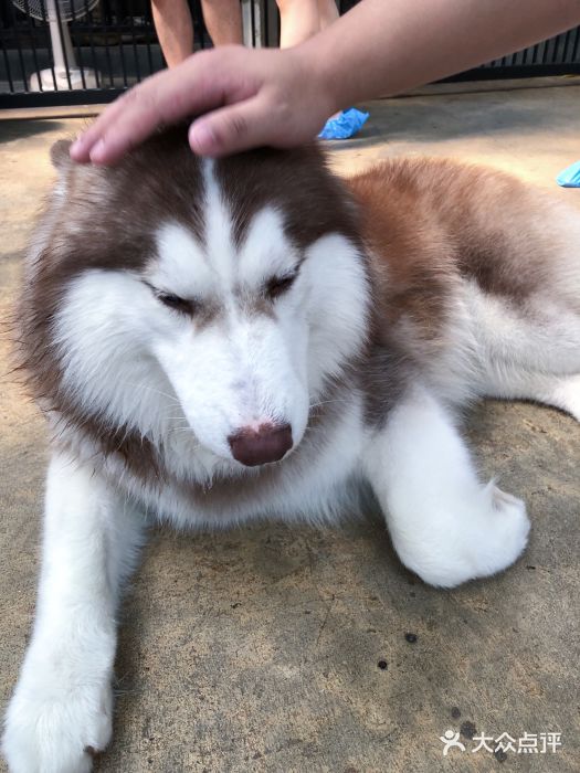 TrueLove @ Neverland (Husky Cafe)图片