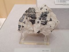 -湖南省地质博物馆