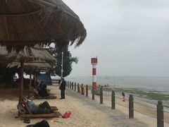 -北海金海湾红树林生态旅游区