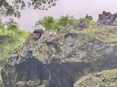 -灵隐飞来峰景区