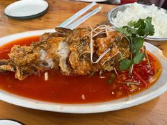 -洞子口陈氏凉粉