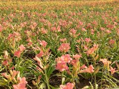 -汉长安城未央宫国家考古遗址公园