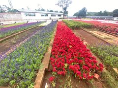 -昆明春城湖畔度假村