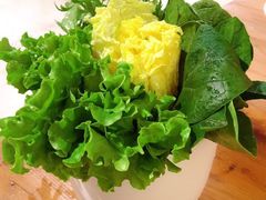 青菜合盘-十六蒲(桂林路店)