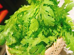 皇帝菜-芸山季·云南野生菌火锅(人民广场来福士店)