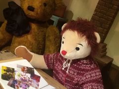 -济州岛泰迪熊博物馆