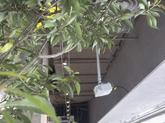 -喜茶(珠海华发商都店)