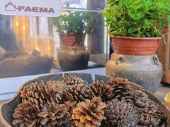 -MOJ coffee(瓯海泽雅水碓坑店)