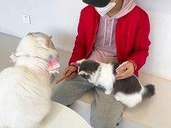 -怪兽屋·羊驼·猫咖·狗咖(俊华广场店)