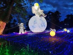 -广西壮族自治区药用植物园