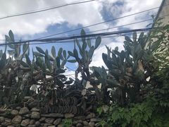 -阿鹏故事云南野生菌火锅(人民路店)