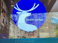 -上海市第一医药商店(南京东路店)