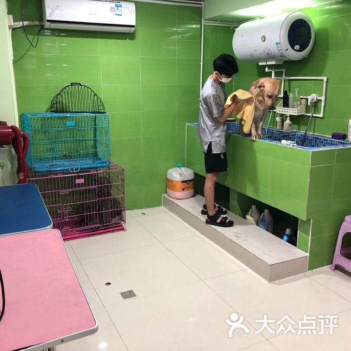 萌宠世界宠物店