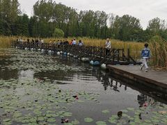 -溱湖国家湿地公园