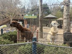 -大连森林动物园