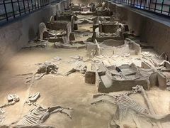 -洛阳周王城天子驾六博物馆