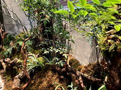 -森SPA·泰式按摩·精油Massage(宝安中心店)