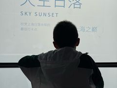 -上海中心大厦