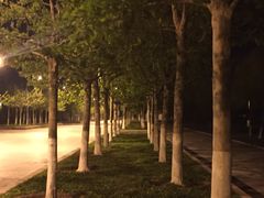 -南开大学滨海学院