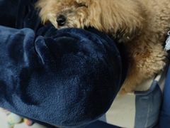 -书亦烧仙草(印象汇都市店)
