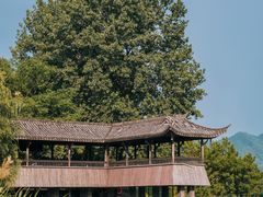 -古堰画乡景区