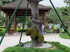 -惠州金海湾嘉华度假酒店