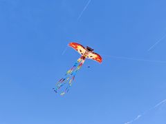 -汉长安城未央宫国家考古遗址公园