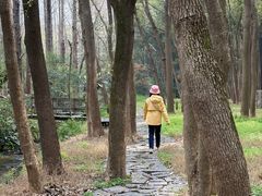 -同里国家湿地公园