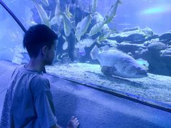 -太平洋海底世界